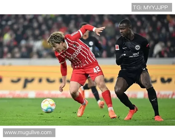 拜仁与弗赖堡对决数据分析全面解读与比赛亮点回顾