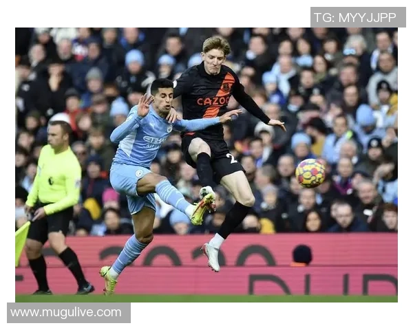 曼城与埃弗顿在1617赛季的精彩对决回顾与分析