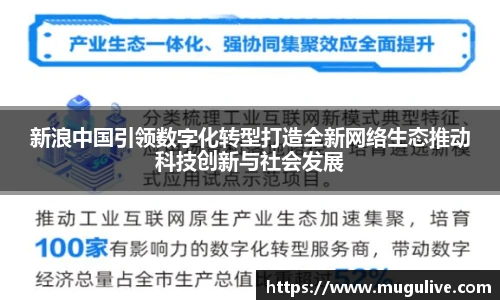 新浪中国引领数字化转型打造全新网络生态推动科技创新与社会发展