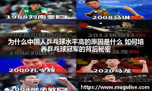 为什么中国人乒乓球水平高的原因是什么 如何培养乒乓球冠军的背后秘密