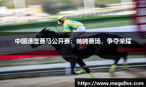 中国速度赛马公开赛：驰骋赛场，争夺荣耀