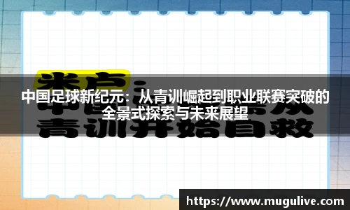 中国足球新纪元：从青训崛起到职业联赛突破的全景式探索与未来展望